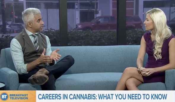 Careers in Cannabis: What You Need to Know